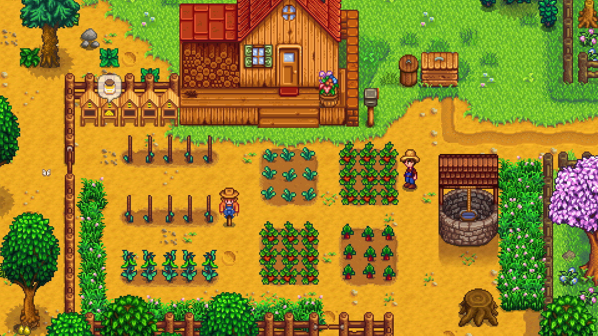 Harvey Stardew Valley, scene de village a Pelican Town